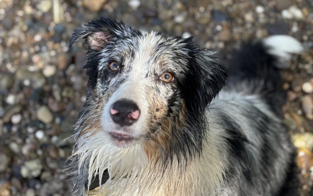 Rencontre avec Uma : une âme sage et sensible